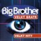 Big Brother VELKÝ BRATR VELKÝ HITY cd