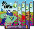 Kocour RAPLÍK kolekce 5 DVD